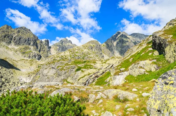 Sommerlandschaft Des Tatra Gebirges Tal Der Seen Slowakei — Stockfoto