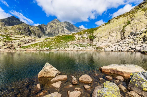 Yaz Tatra Dağları Slovakya Dağ Gölü Içinde Taşlar — Stok fotoğraf