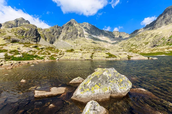 Yaz Tatra Dağları Slovakya Dağ Gölü Içinde Taşlar — Stok fotoğraf