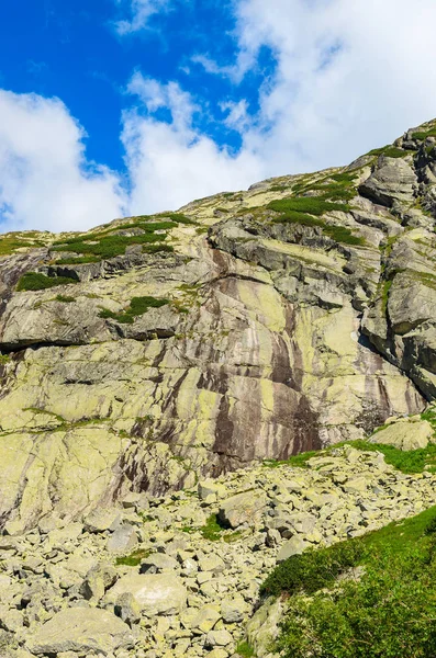 Sommarlandskap Tatra Bergen Sjöar Valley Slovakien — Stockfoto