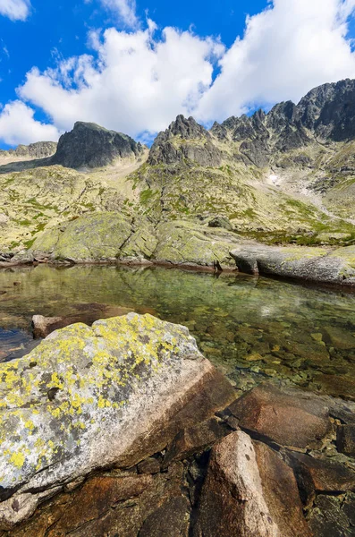 Stenar Alpina Sjön Sommar Tatrabergen Slovakien — Stockfoto