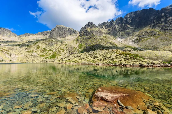 Steine Bergsee Sommer Tatra Gebirge Slowakei — Stockfoto