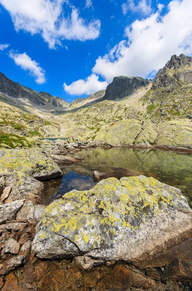 Stenar Alpina Sjön Sommar Tatrabergen Slovakien — Stockfoto