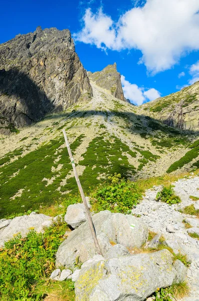 つの湖の谷 スロバキアのタトラ山脈の夏の風景 — ストック写真