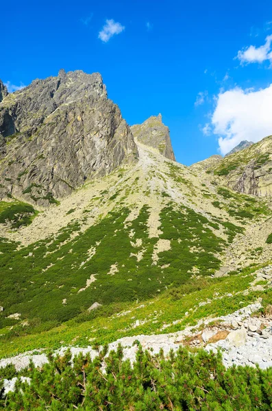 Paisaje Verano Las Montañas Tatra Valle Lagos Eslovaquia —  Fotos de Stock