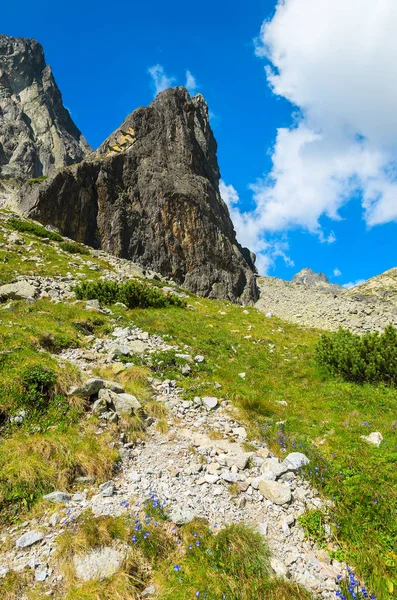 Paisaje Verano Las Montañas Tatra Valle Lagos Eslovaquia —  Fotos de Stock