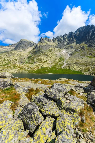 Gunung Alpine Lake Stone Dekat Teryho Hut Danau Lembah Piat — Stok Foto