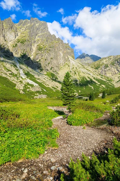 Zomer Landschap Van Tatra Gebergte Vallei Van Meren Slowakije — Stockfoto