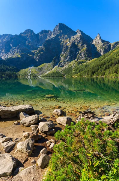 Green Water Mountain Lake Morskie Oko Tatra Mountains Πολωνία — Φωτογραφία Αρχείου