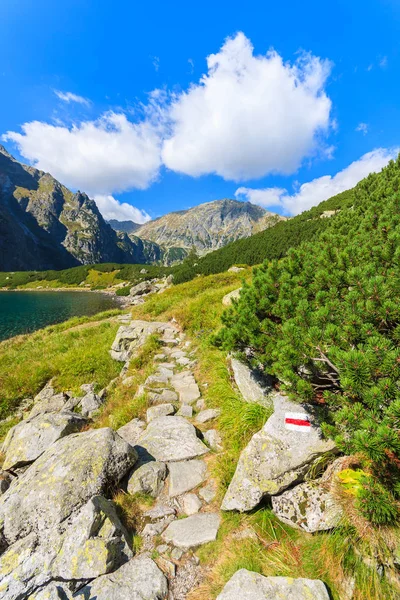 Vandringsled Längs Czarny Staw Sjön Sommaren Tatrabergen — Stockfoto