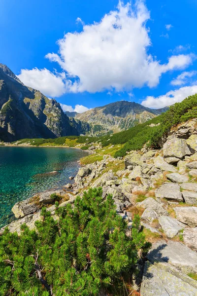 美丽的 Czarny 秸秆湖在夏天 Tatra — 图库照片