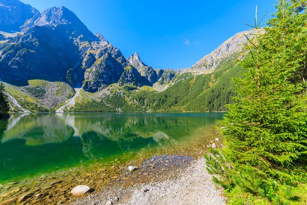 Green Water Mountain Lake Morskie Oko Tátrai Hegység Lengyelország — Stock Fotó