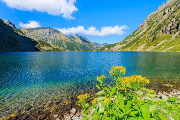 Krásná Jezera Czarny Staw Létě Tater Polsko — Stock fotografie
