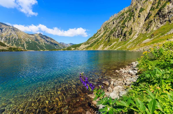 Vackra Czarny Staw Sjön Sommar Tatrabergen Polen — Stockfoto