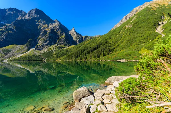 Vihreä Vesi Vuori Järvi Morskie Oko Tatra Vuoret Puola — kuvapankkivalokuva