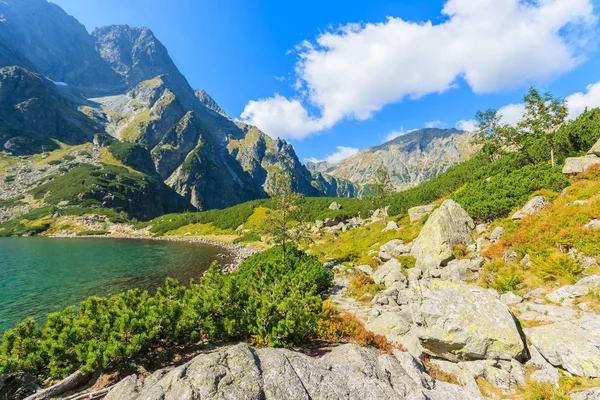 Vackra Czarny Staw Sjön Sommar Tatrabergen Polen — Stockfoto