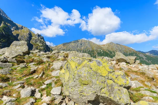 夏には タトラ山脈 ポーランドで証明 Morskie Oko からトレイルをハイキング — ストック写真