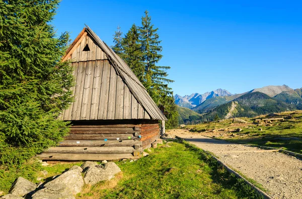 Tatra Rusinowa 木小屋 — 图库照片