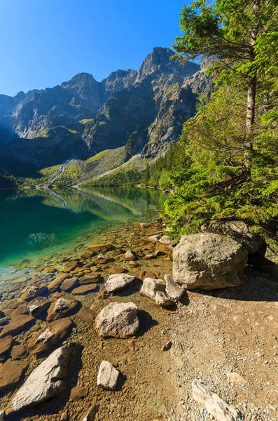 Grönt Vatten Berg Sjö Morskie Oko Tatrabergen Polen — Stockfoto