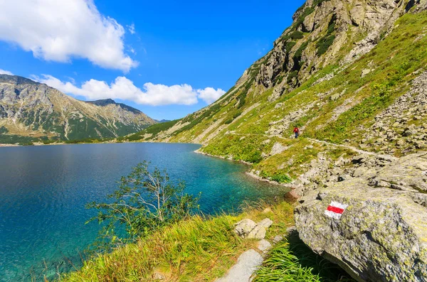 Πεζοπορική Διαδρομή Κατά Μήκος Czarny Staw Λίμνης Καλοκαίρι Στα Βουνά — Φωτογραφία Αρχείου