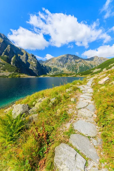 Mendaki Sepanjang Danau Czarny Staw Musim Panas Pegunungan Tatra — Stok Foto