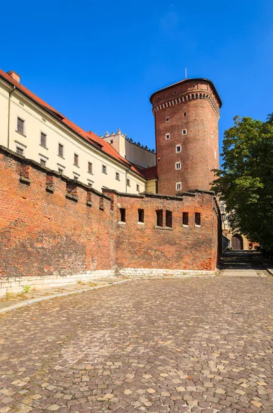 Královský Hrad Wawel Krásný Slunečný Letní Den Krakov Polsko — Stock fotografie