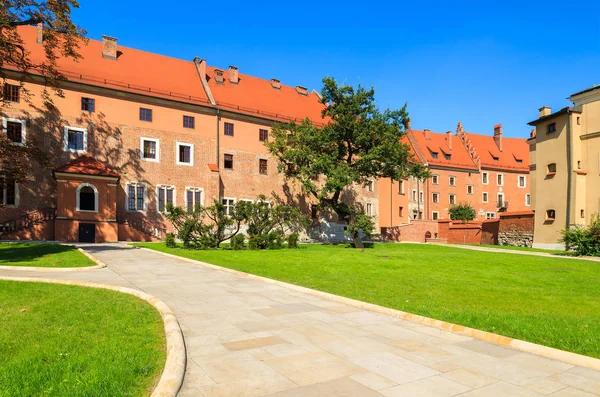 Βασιλικό Κάστρο Wawel Όμορφη Ηλιόλουστη Καλοκαιρινή Μέρα Κρακοβία Πολωνία — Φωτογραφία Αρχείου