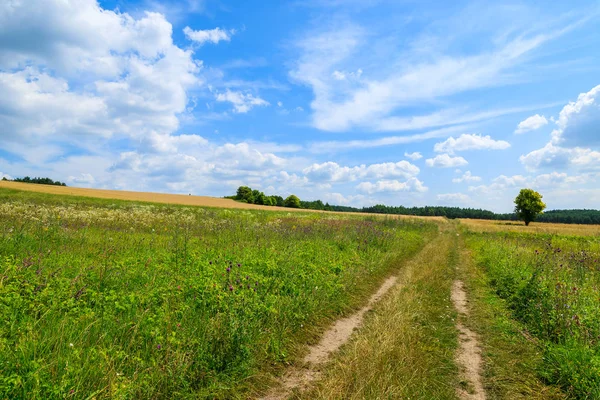 Rural Road Green Field Sunny Summer Day White Clouds Blue Stock Photo