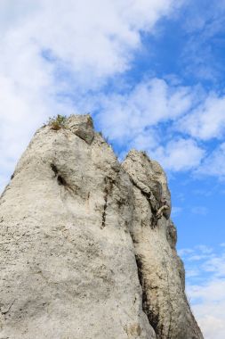 Kaya tırmanışçısı kalker kaya yakınındaki Krakow, Polonya