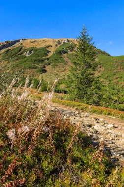 Dağ izi Hala Kondratowa Vadisi Kopa Kondracka ve Giewont Sonbahar sezonu, Tatra Dağları, Polonya