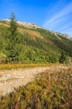 Dağ izi Hala Kondratowa Vadisi Kopa Kondracka ve Giewont Sonbahar sezonu, Tatra Dağları, Polonya