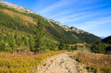 Dağ izi Hala Kondratowa Vadisi Kopa Kondracka ve Giewont Sonbahar sezonu, Tatra Dağları, Polonya