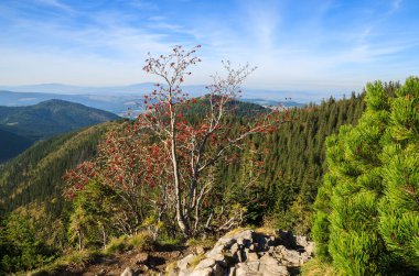 Dağ izi Hala Kondratowa Vadisi Kopa Kondracka ve Giewont Sonbahar sezonu, Tatra Dağları, Polonya