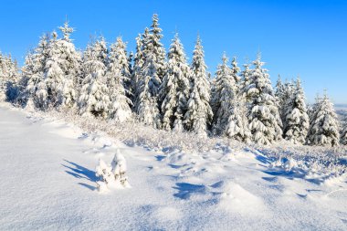 Kış manzarası Rusinowa polana, Tatra Dağları, Polonya