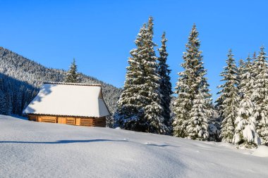 Kış zamanı, Tatra Dağları, Polonya Rusinowa polana siper al