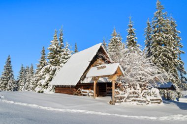 Kış zamanı, Tatra Dağları, Polonya Rusinowa polana siper al