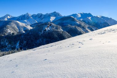Kış manzarası Rusinowa polana, Tatra Dağları, Polonya