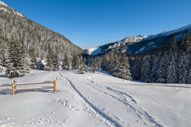 Taze Kuznice Hala Kondratowa Tatra Dağları, Polonya için kar kış iz