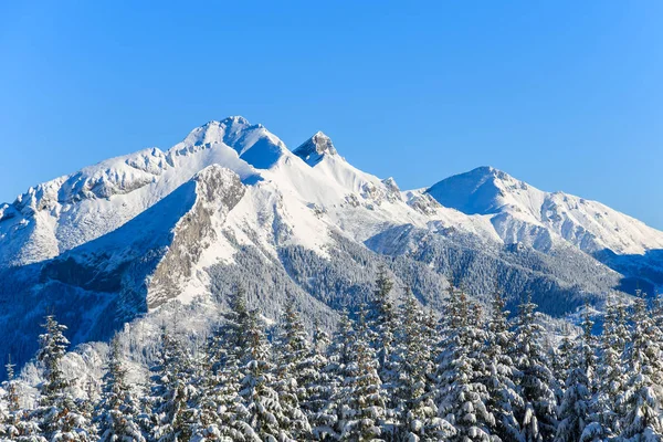 Rusinowa Polana Tatra 폴란드의 — 스톡 사진