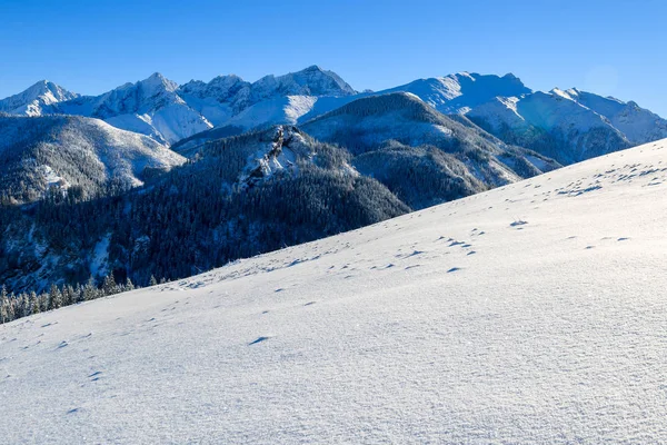 Winter Landscape Rusinowa Polana Tatra Mountains Poland — Stock Photo, Image