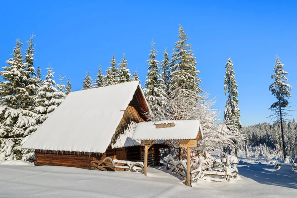 Hut Rusinowa Polana Winter Tijd Tatra Bergen Polen — Stockfoto