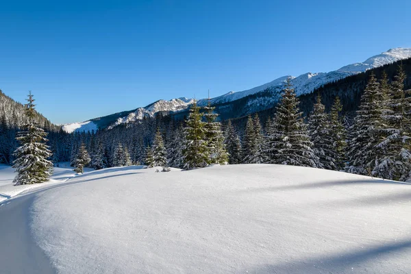 Winter Trail Fresh Snow Kuznice Hala Kondratowa Tatra Mountains Poland — Stock Photo, Image