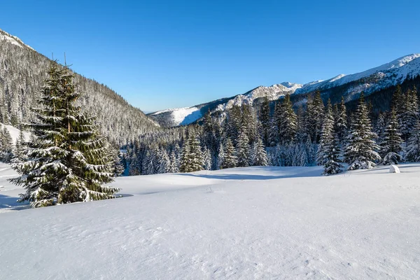 Winter Landscape Kondratowa Valley Tatra Mountains Poland — Stock Photo, Image