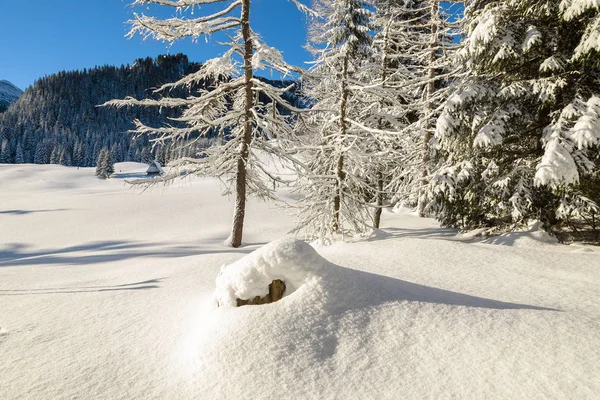 Vinterleden Nysnö Från Kuznice Till Hala Kondratowa Tatrabergen Polen — Stockfoto