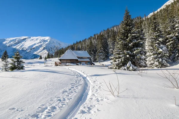 Sendero Invierno Choza Refugio Nieve Fresca Montaña Hala Kondratowa Las — Foto de Stock