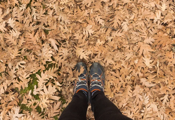 Людські ноги ступають на сухе осіннє листя — стокове фото