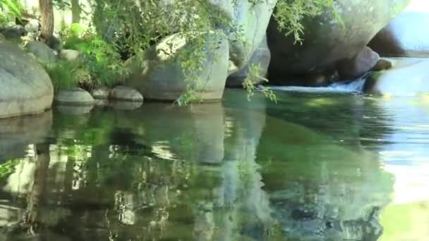 Krásná Horská Řeka Křišťálově Čistou Vodou Tekoucí Vážky Létající Kolem — Stock video