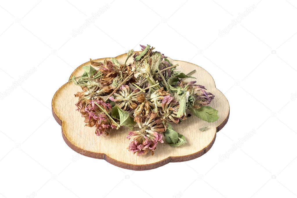Dry clover flowers for useful herbal tea on a white background 