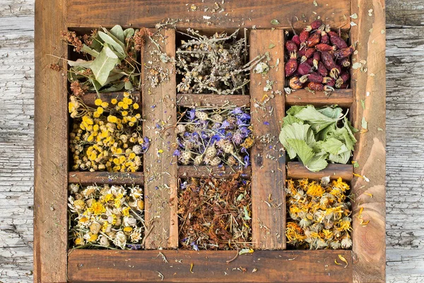 Sušených léčivých rostlin v staré dřevěné krabice — Stock fotografie