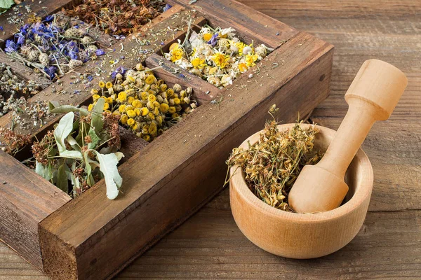 Planta medicinal seca em uma velha caixa de madeira — Fotografia de Stock